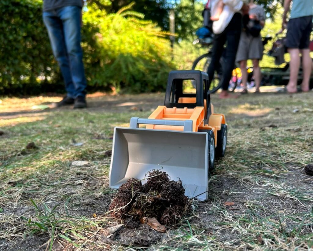 Rollen die Bagger im Inselkiez?